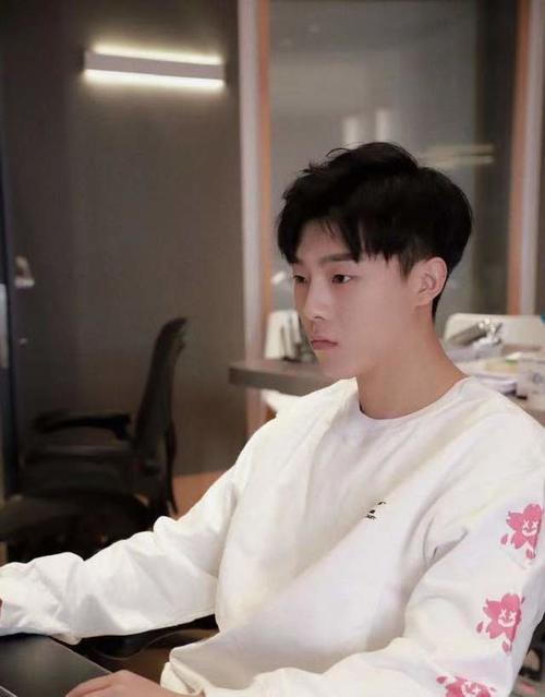 段浩男力挺高嘉朗公开恋情泄露地址 段浩男是谁个人资料背景简介