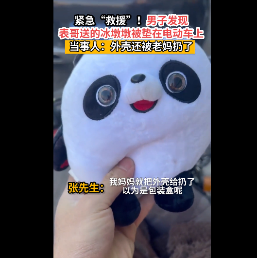 全网“最惨”冰墩墩:被剥壳塞进电动车当头枕