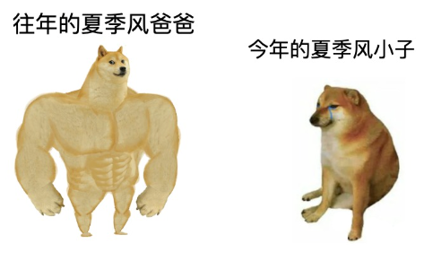 手机上网很慢?可能是被40℃的高温热坏了 手机上网很慢?可能是被40℃的高温热坏了