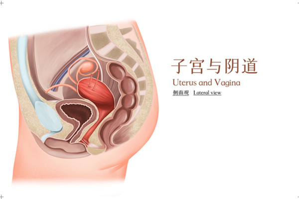 洁尔阴6001.jpg